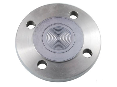 F2 diaphragm seal with flange connection