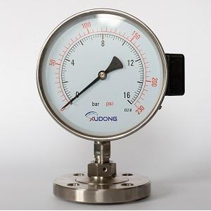 Đồng hồ đo áp suất mặt bích Flush