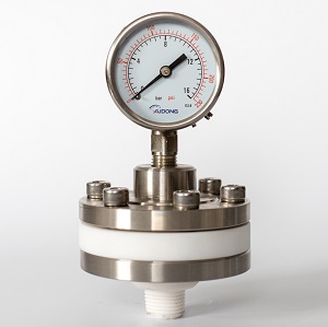 Đồng hồ đo áp suất màng PTFE