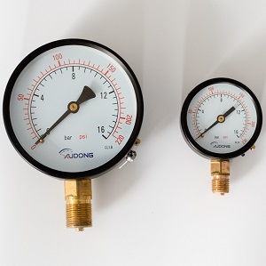 Đồng hồ đo áp suất ống Bourdon