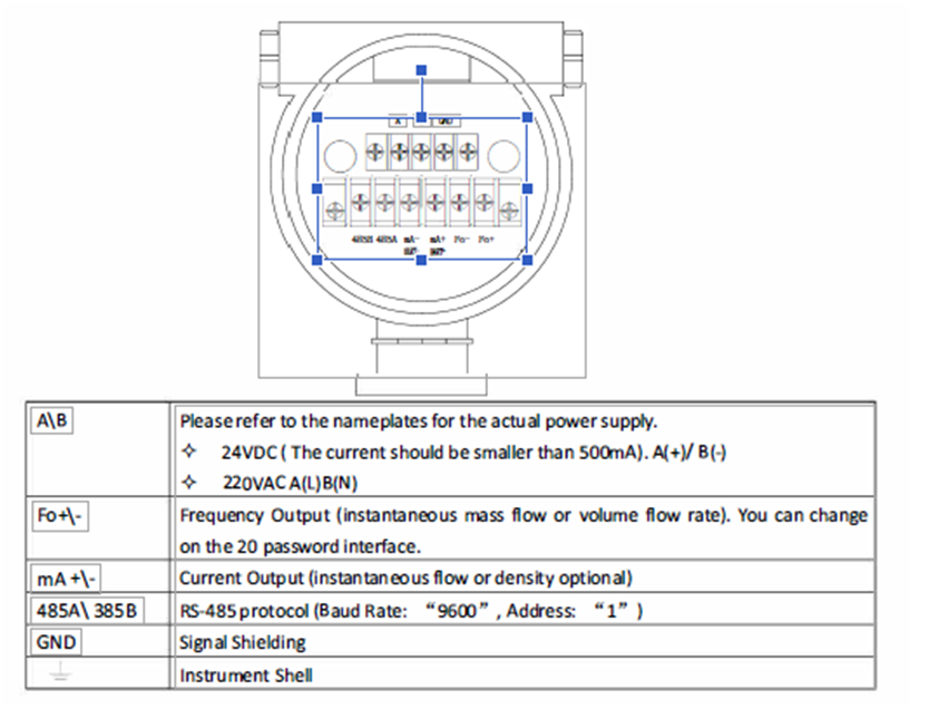 Coriolis flow meter terminal wiring