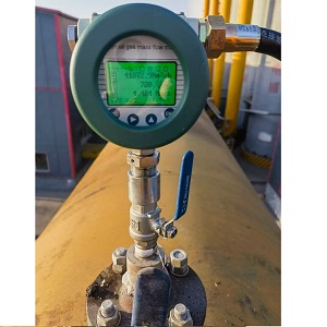 Lưu lượng kế biogas