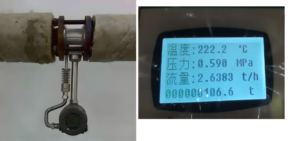 steam flow meter with steam hammer