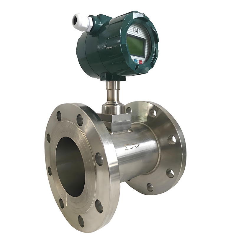 Đồng hồ đo lưu lượng khí nén 8 inch